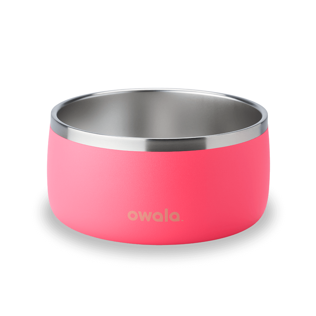 Pet Bowl Hyper Flamingo